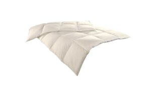 Aldi Online Ribeco Luxus Daunendecke 240 x 200 cm (ab 20.12.2021